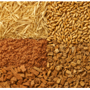 Peleciarki uniwersalne (16)