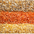 Granulatory paszowe (10)